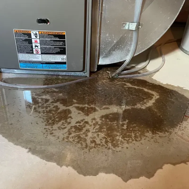 Appliance Leak Cleanup in Republic, PA